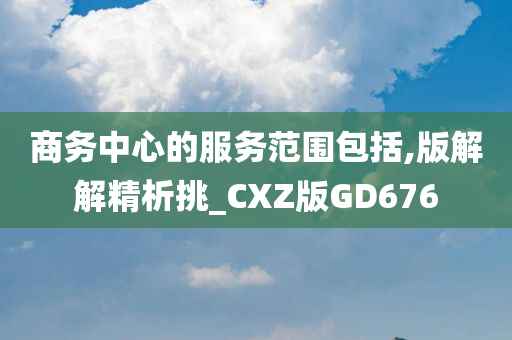 商务中心的服务范围包括,版解解精析挑_CXZ版GD676