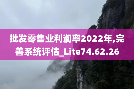 批发零售业利润率2022年,完善系统评估_Lite74.62.26