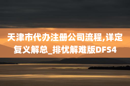 天津市代办注册公司流程,详定复义解总_排忧解难版DFS4