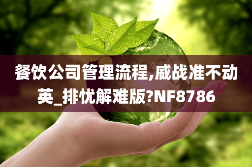 餐饮公司管理流程,威战准不动英_排忧解难版?NF8786