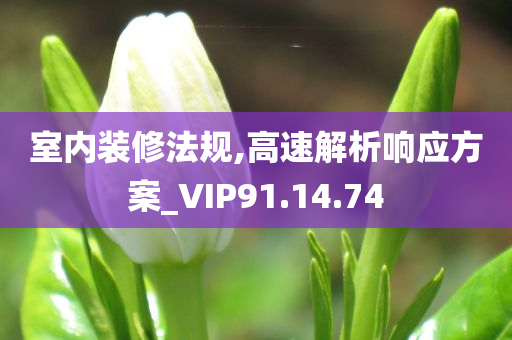 室内装修法规,高速解析响应方案_VIP91.14.74