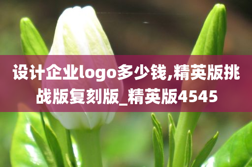 设计企业logo多少钱,精英版挑战版复刻版_精英版4545