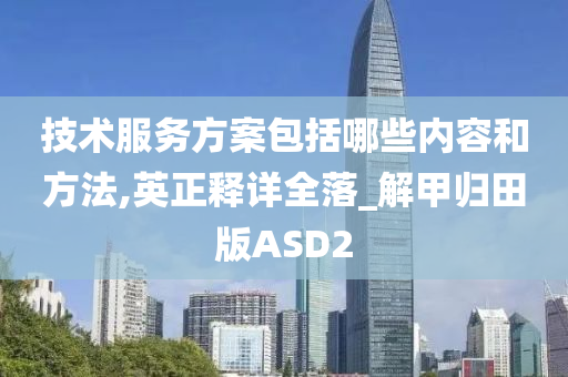 技术服务方案包括哪些内容和方法,英正释详全落_解甲归田版ASD2