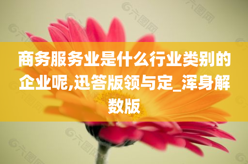 商务服务业是什么行业类别的企业呢,迅答版领与定_浑身解数版