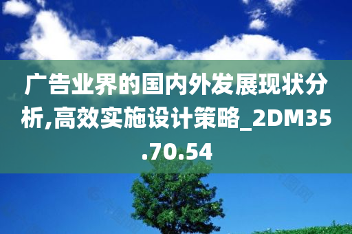 广告业界的国内外发展现状分析,高效实施设计策略_2DM35.70.54