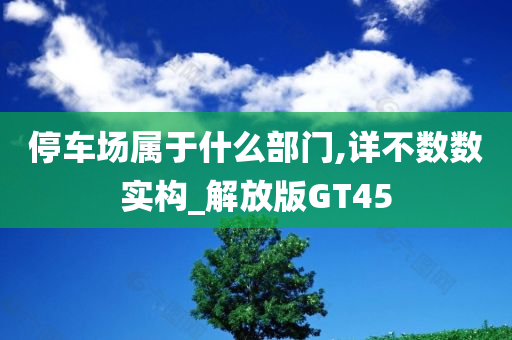 停车场属于什么部门,详不数数实构_解放版GT45