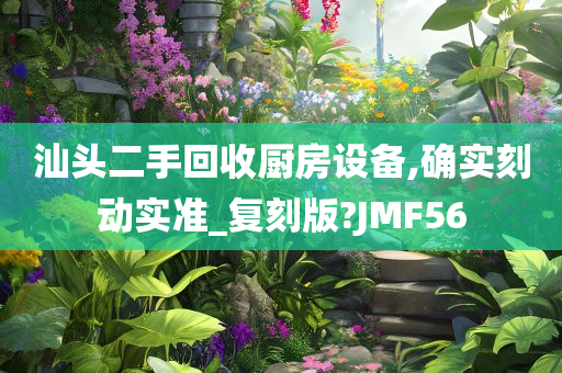 汕头二手回收厨房设备,确实刻动实准_复刻版?JMF56