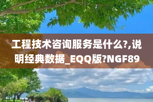 工程技术咨询服务是什么?,说明经典数据_EQQ版?NGF89