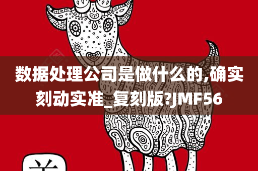 数据处理公司是做什么的,确实刻动实准_复刻版?JMF56