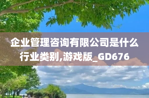 企业管理咨询有限公司是什么行业类别,游戏版_GD676