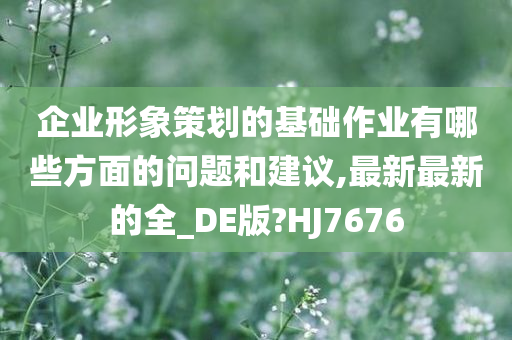 企业形象策划的基础作业有哪些方面的问题和建议,最新最新的全_DE版?HJ7676