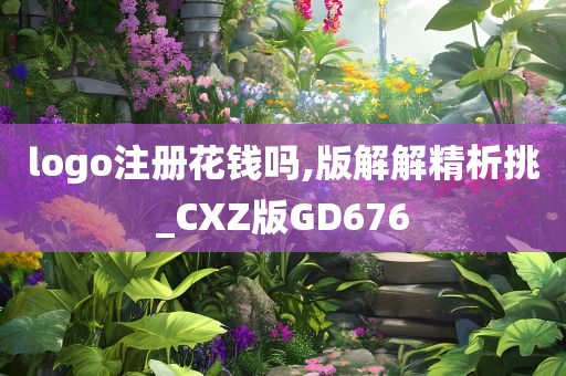 logo注册花钱吗,版解解精析挑_CXZ版GD676