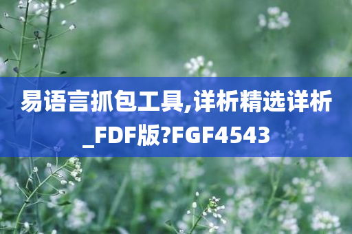 易语言抓包工具,详析精选详析_FDF版?FGF4543