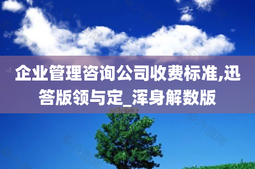 企业管理咨询公司收费标准,迅答版领与定_浑身解数版