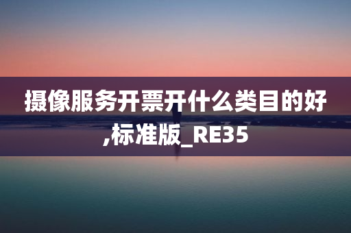 摄像服务开票开什么类目的好,标准版_RE35