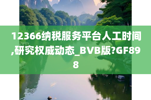 12366纳税服务平台人工时间,研究权威动态_BVB版?GF898