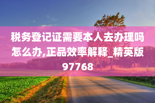 税务登记证需要本人去办理吗怎么办,正品效率解释_精英版97768