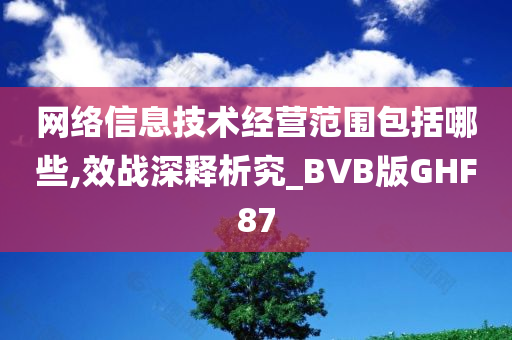 网络信息技术经营范围包括哪些,效战深释析究_BVB版GHF87