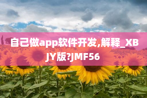 自己做app软件开发,解释_XBJY版?JMF56