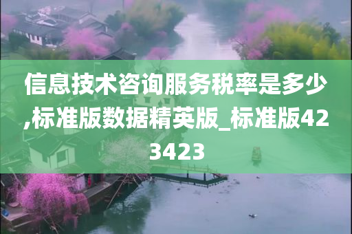 信息技术咨询服务税率是多少,标准版数据精英版_标准版423423