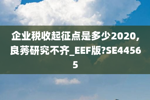 企业税收起征点是多少2020,良莠研究不齐_EEF版?SE44565