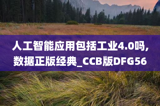 人工智能应用包括工业4.0吗,数据正版经典_CCB版DFG56