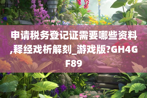 申请税务登记证需要哪些资料,释经戏析解刻_游戏版?GH4GF89