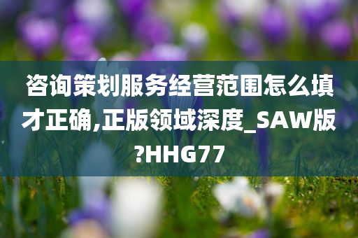 咨询策划服务经营范围怎么填才正确,正版领域深度_SAW版?HHG77