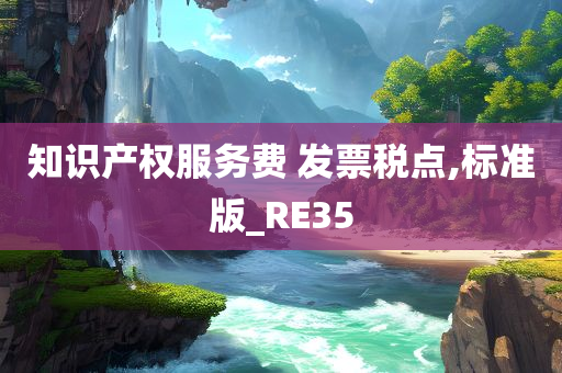 知识产权服务费 发票税点,标准版_RE35