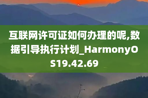 互联网许可证如何办理的呢,数据引导执行计划_HarmonyOS19.42.69