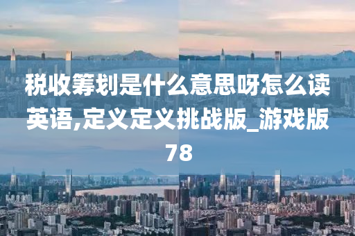 税收筹划是什么意思呀怎么读英语,定义定义挑战版_游戏版78