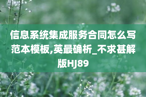 信息系统集成服务合同怎么写范本模板,英最确析_不求甚解版HJ89