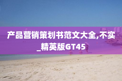 产品营销策划书范文大全,不实_精英版GT45