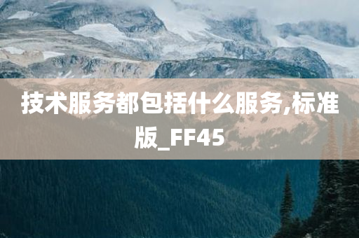 技术服务都包括什么服务,标准版_FF45