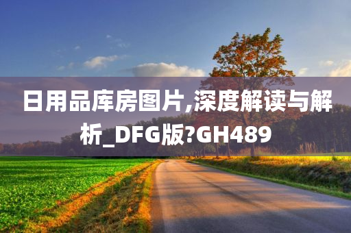 日用品库房图片,深度解读与解析_DFG版?GH489