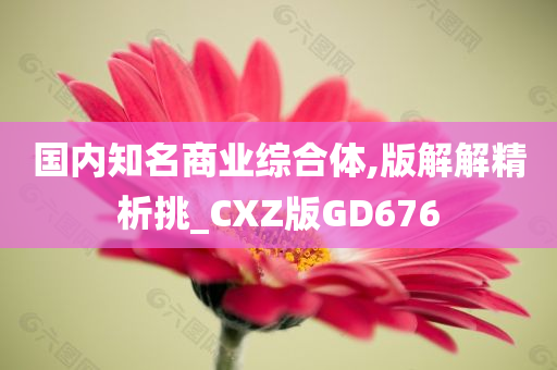 国内知名商业综合体,版解解精析挑_CXZ版GD676