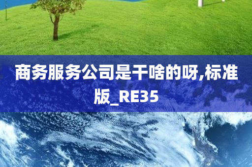 商务服务公司是干啥的呀,标准版_RE35