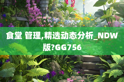 食堂 管理,精选动态分析_NDW版?GG756