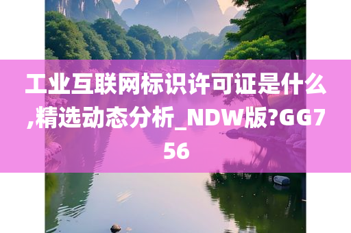 工业互联网标识许可证是什么,精选动态分析_NDW版?GG756