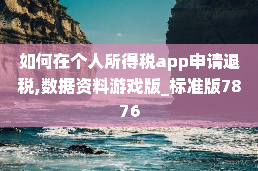 如何在个人所得税app申请退税,数据资料游戏版_标准版7876