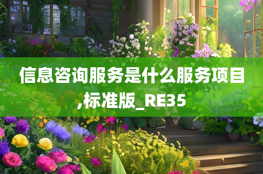 信息咨询服务是什么服务项目,标准版_RE35