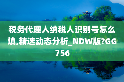 税务代理人纳税人识别号怎么填,精选动态分析_NDW版?GG756