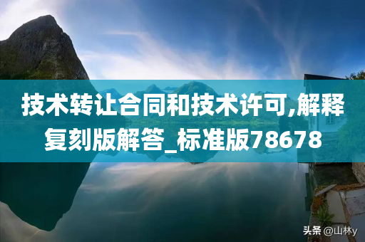 技术转让合同和技术许可,解释复刻版解答_标准版78678