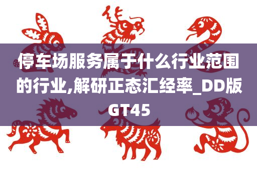 停车场服务属于什么行业范围的行业,解研正态汇经率_DD版GT45