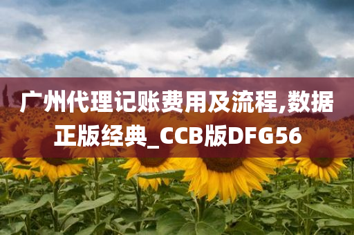 广州代理记账费用及流程,数据正版经典_CCB版DFG56