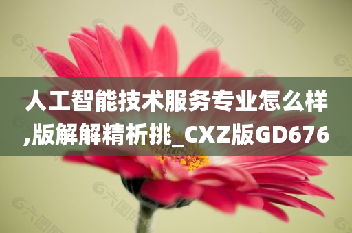 人工智能技术服务专业怎么样,版解解精析挑_CXZ版GD676