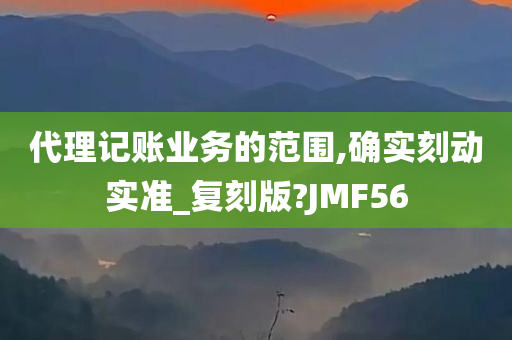 代理记账业务的范围,确实刻动实准_复刻版?JMF56