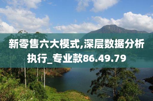 新零售六大模式,深层数据分析执行_专业款86.49.79