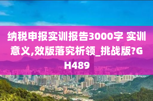 纳税申报实训报告3000字 实训意义,效版落究析领_挑战版?GH489