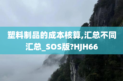 塑料制品的成本核算,汇总不同汇总_SOS版?HJH66